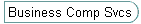 Business Comp Svcs