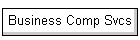 Business Comp Svcs