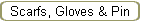 Scarfs, Gloves & Pin